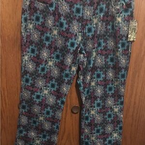 NWT DG2 HSN Diane Gilman 20 PW Janis Joplin Jeans Pants